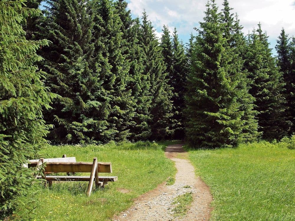 Symbolbild für Alt Ämter Wandermarsch