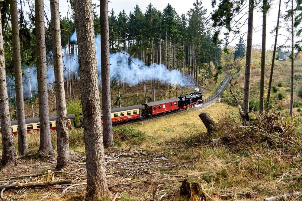 Symbolbild für Harz-Gebirgslauf