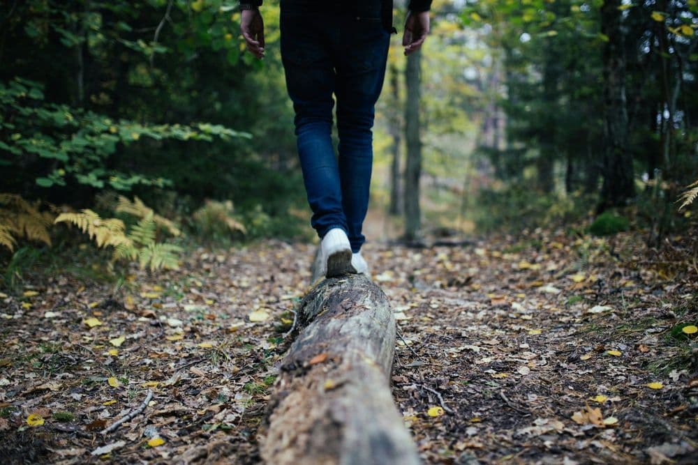 Mensch balanciert auf einem großen Ast im Wald
