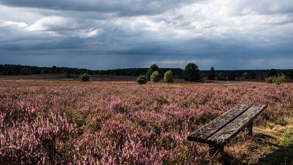 Symbolbild für Ultramarsch Süd-Heide