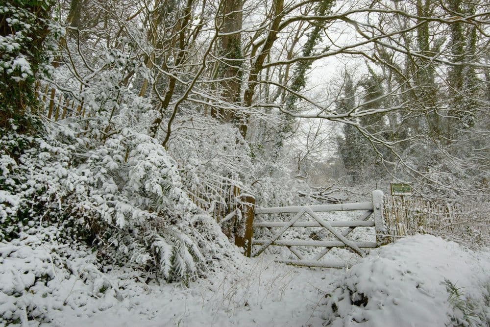 Symbolbild für Winterwanderung