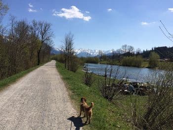Symbolbild für Allgäu Mittsommer Marsch
