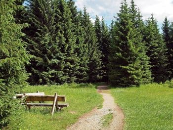 Symbolbild für Alt Ämter Wandermarsch