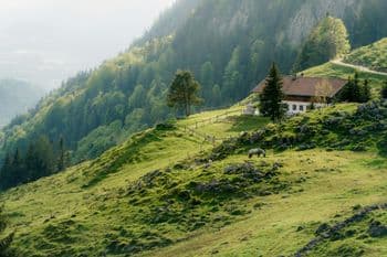 Ebbser Koasamarsch - 11/20/33km am 13.06.2026
