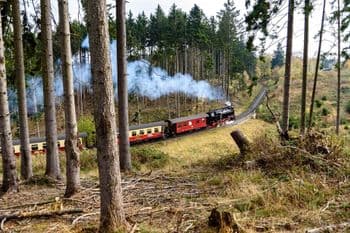 Symbolbild für Harz-Gebirgslauf