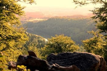 Symbolbild für HochWaldTrail