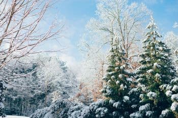 Seenland Winter-Marsch - 40/50km am 28.02.2027