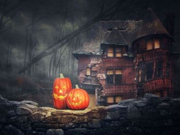 Symbolbild für Marsch zum Meer - Halloween Special