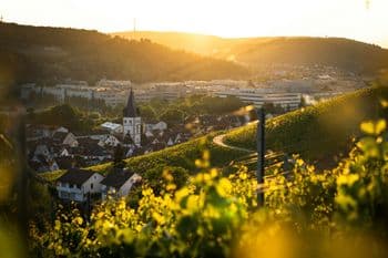 Neckarcross Ultra Race - 59km am 09.05.2027