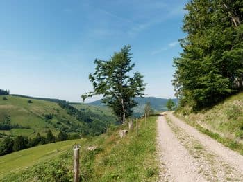 Symbolbild für Renchtäler Wandermarathon