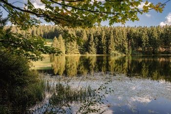Symbolbild für Ville-Seen-Marsch