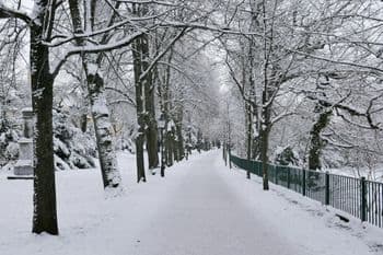 Symbolbild für Winter Walk