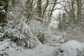 Symbolbild für Winterwanderung