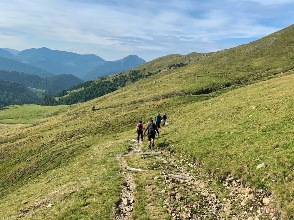Fittes Waldviertel am 03.10.2026 in Großglobnitz Symbolbild für Fittes Waldviertel