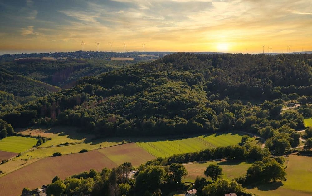 GrimmSteig XL am 26.06.2026 in Kassel Symbolbild für GrimmSteig XL