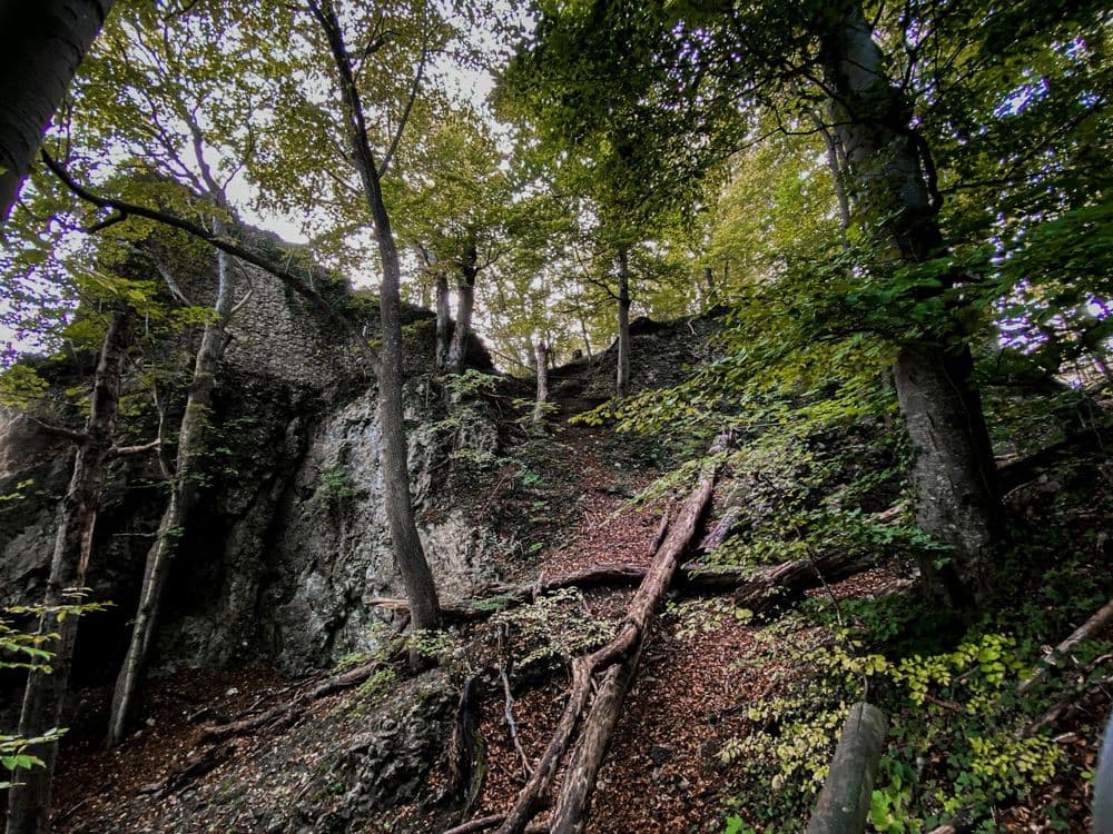 Heubach wandert am 05.09.2026 in Heubach Symbolbild für Heubach wandert