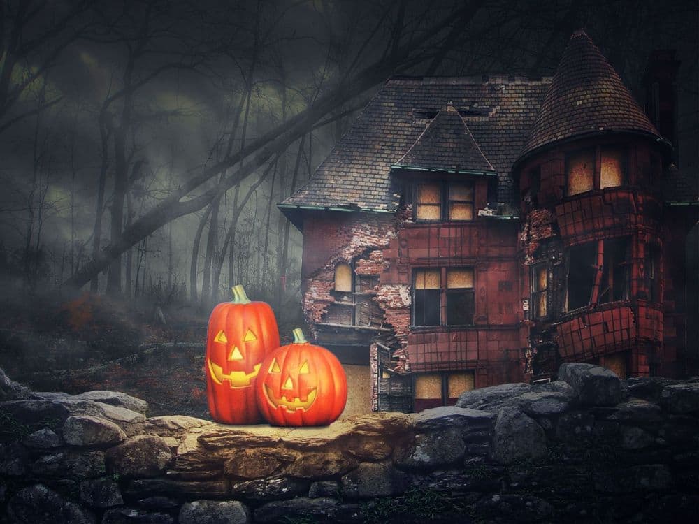 Marsch zum Meer - Halloween Special am 31.10.2026 in Fehmarn Symbolbild für Marsch zum Meer - Halloween Special