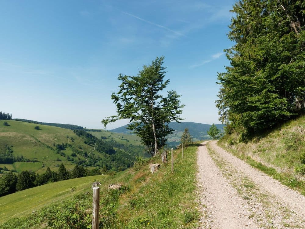 Renchtäler Wandermarathon am 19.09.2026 in Lautenbach Symbolbild für Renchtäler Wandermarathon