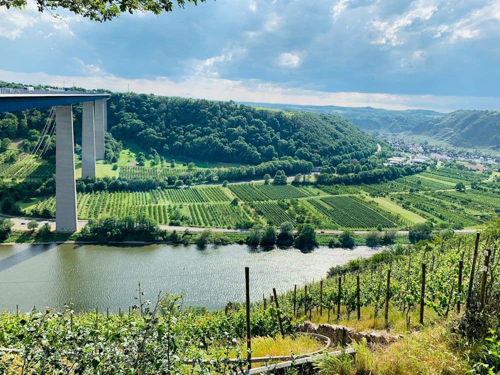 Rhein-Mosel-Marathon (Sonntag) am 25.10.2026 in Winningen Symbolbild für Rhein-Mosel-Marathon (Sonntag)