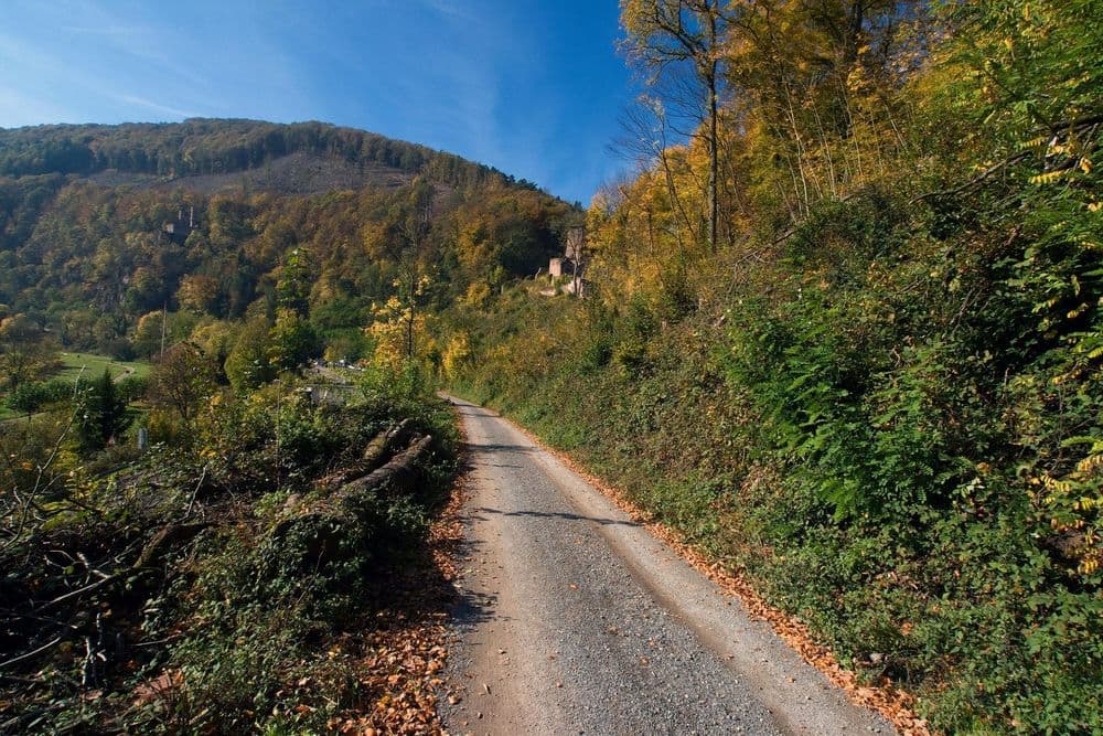 Schritt für Schritt - Odenwald (Erbach) am 05.09.2026 in Erbach Symbolbild für Schritt für Schritt - Odenwald (Erbach)