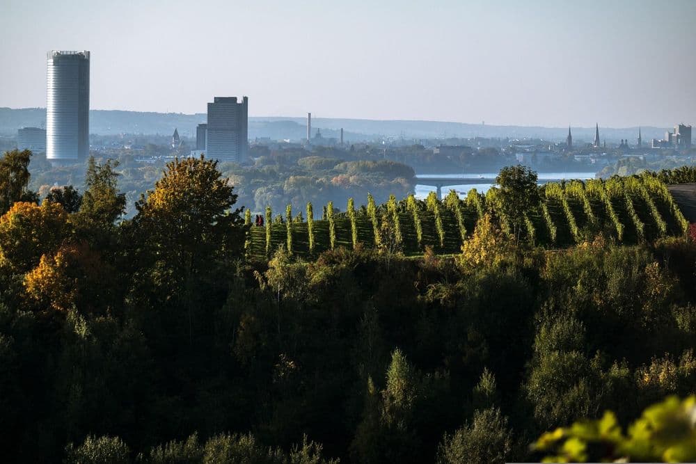 Urban Hike Bonn am 19.09.2026 in Bonn Symbolbild für Urban Hike Bonn