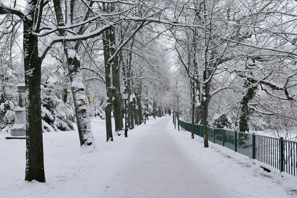 Winter Walk am 27.12.2026 in Freiberg Symbolbild für Winter Walk