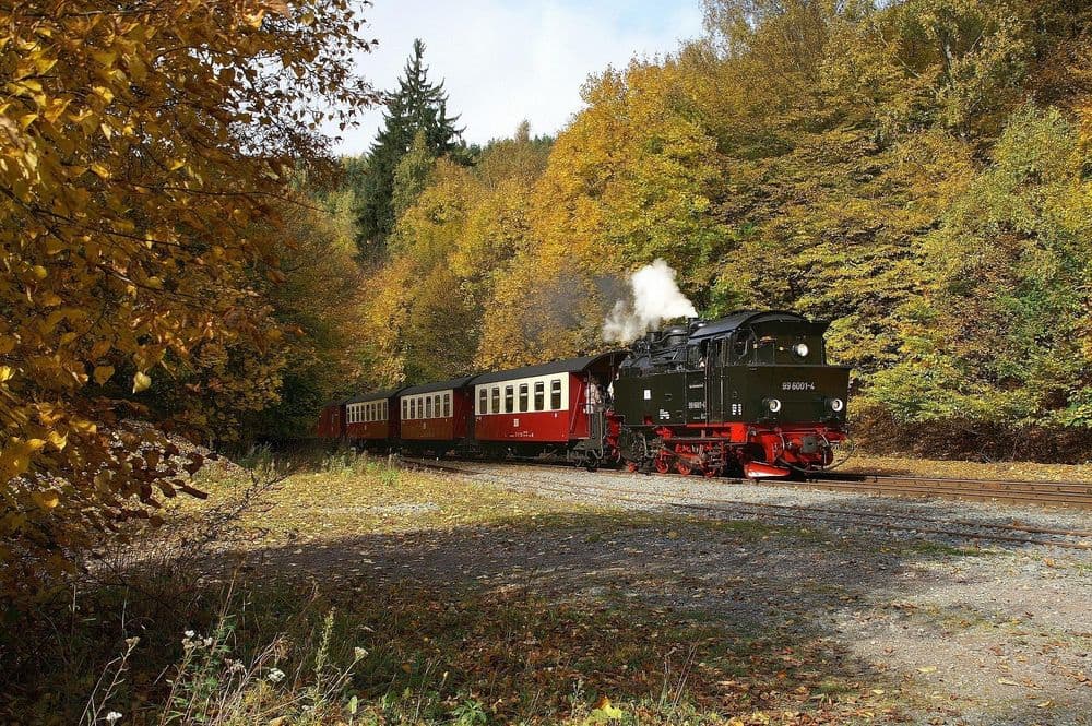 Wir4Gemeinsam 50 km Marsch am 26.09.2026 in Aschersleben Symbolbild für Wir4Gemeinsam 50 km Marsch