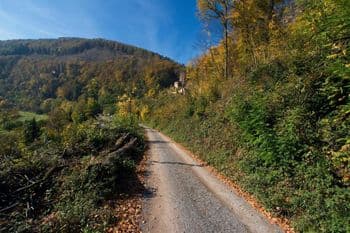 Schritt für Schritt - Odenwald (Erbach) am 05.09.2026 in Erbach Symbolbild für Schritt für Schritt - Odenwald (Erbach)