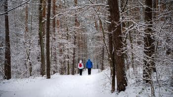 Wintermarathon Haspelmoor am 16.01.2027 in Hattenhofen Symbolbild für Wintermarathon Haspelmoor